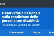 La responsabile scientifica di ProgettAzione, dott.ssa Claudia Maggio all’osservatorio nazionale sulla condizione delle persone con disabilità.